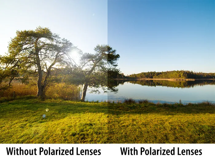 polarized 02