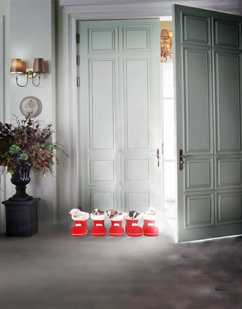 

Фон для фотосъемки с изображением двери собаки в гостиной 5 х7 футов