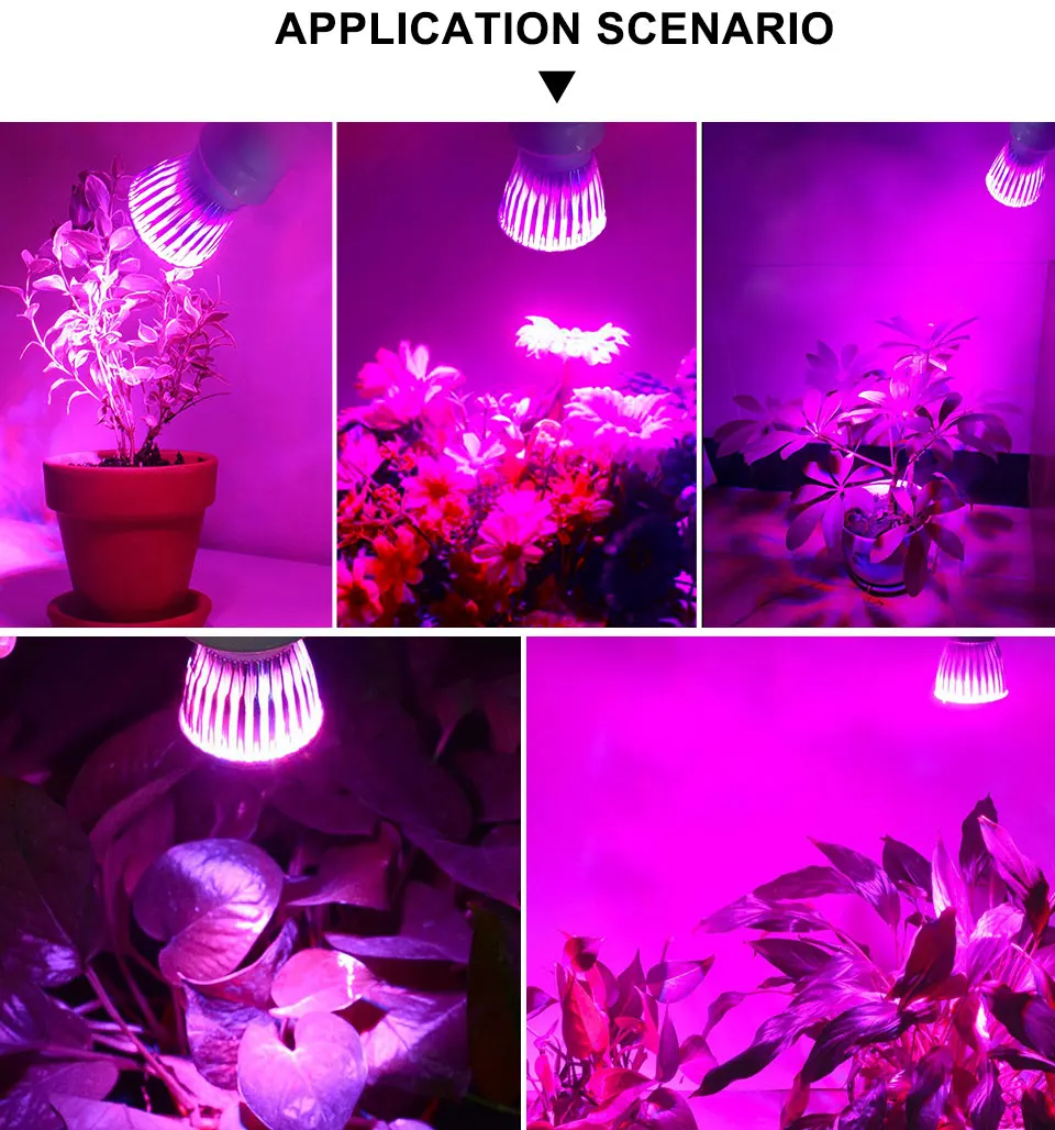 High Power LED Grow Light E27 Full Spectrum Fitolampy Indoor Grow lamp for Plants Flowers Seeds Grow Tent Box Replace Sunlight (12)