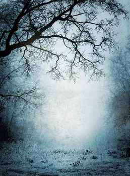 

Custom Bokeh Photography Backdrops Foggy Forest Dead Trees Backgrounds for Photo Studio Halloween Backdrop Portrait Photography