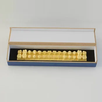 

28 teeth Permanent Teeth Model With Base