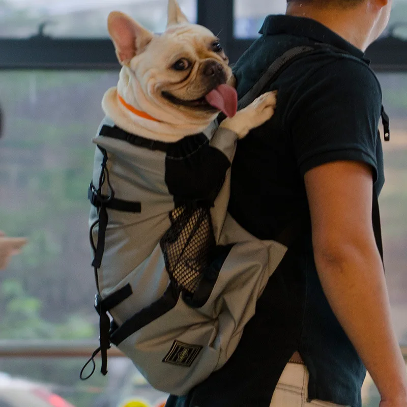 Sac de voyage pour chien type  sac à dos