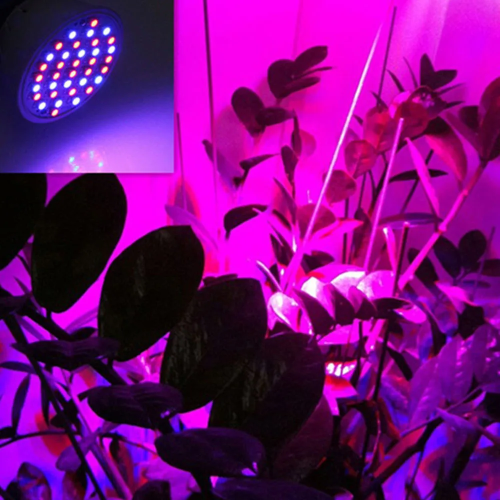 2018 высокое качество E27 36 Led Grow Light гидропонное освещение с зажимом лампы растения для девочек, держащих букет невесты гидропоники Системы