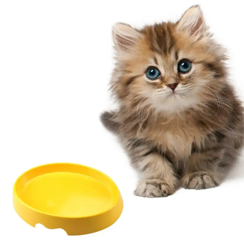 Pet Cat Puppy Plastic Food Feeding Water Drinking Diagonal Bowl Candy Color 20.32*15*4.8CM