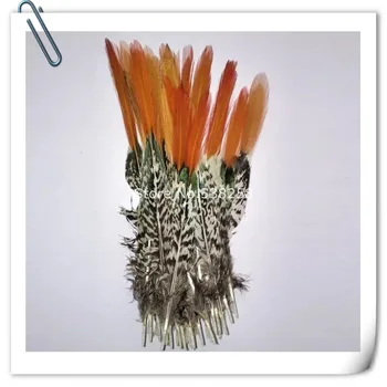 

50pcs/lot 15-20cm / 6-8'' real natural lady amherst's pheasant feathers plume for clothing decoration jewelry making bulk sale