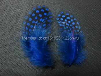 

wholesale 100pcs high quality beatiful Royal blue guinea fowl feather 4-8cm / 2-3inch Decorative diy