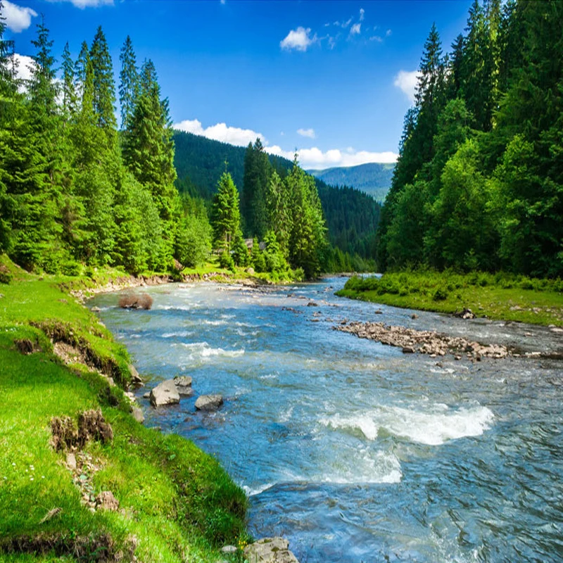 Pap Parede Papel de Parede 32776069633 pap parede 02