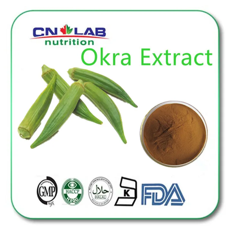 100 Natural High Quality Hibiscus Esculentus Extract Powder/Okra Extract/Okra Powderin