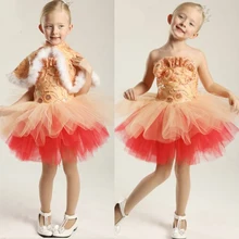 Осень-зима этап Балетные костюмы платье для девочек в цветочек; платье для свадебной вечеринки нарядное платье для девочек Дети малышей Балетные Костюмы Одежда пачки для подростков