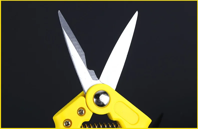 AB0065804
