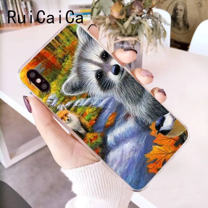 Animal Raccoon Fox