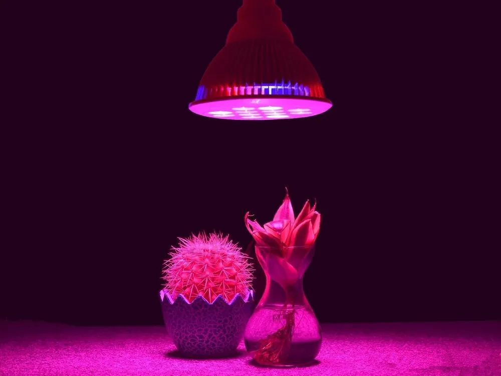 led-grow-light-bulb-e27-12w-85-265v-miracle(3)