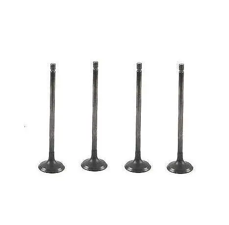 

16PCS Intake Exhaust Valve Kit For 04-08 GM Chevrolet Aveo Aveo5 1.6L DOHC