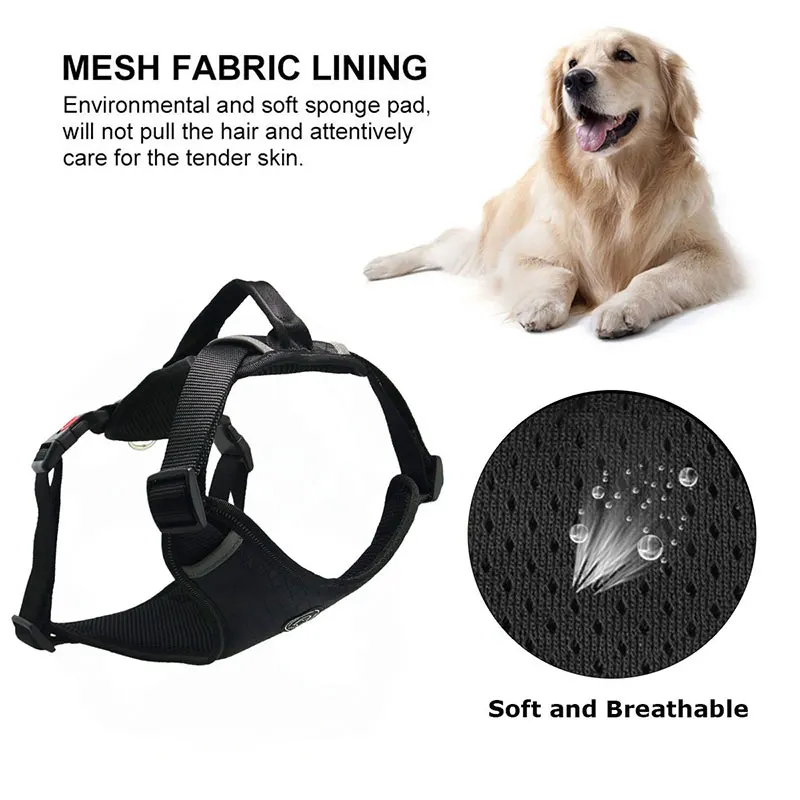 Harness-for-dogs