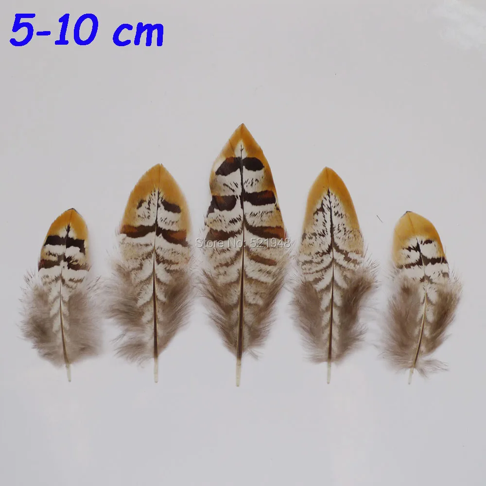 P1030513