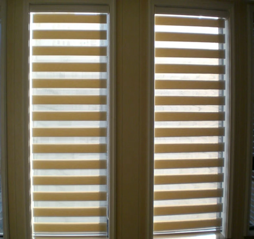 

Custom Made 100% Polyester Translucent Roller Zebra Blinds in Beige Window Curtains for Living Room 10 Colors Are Available