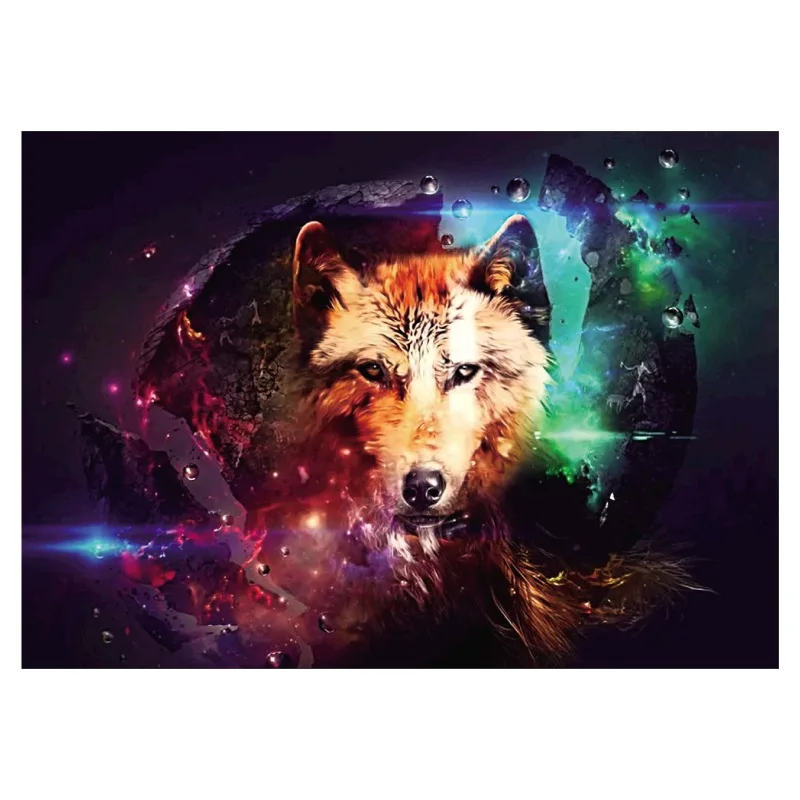 WK0594A (3)