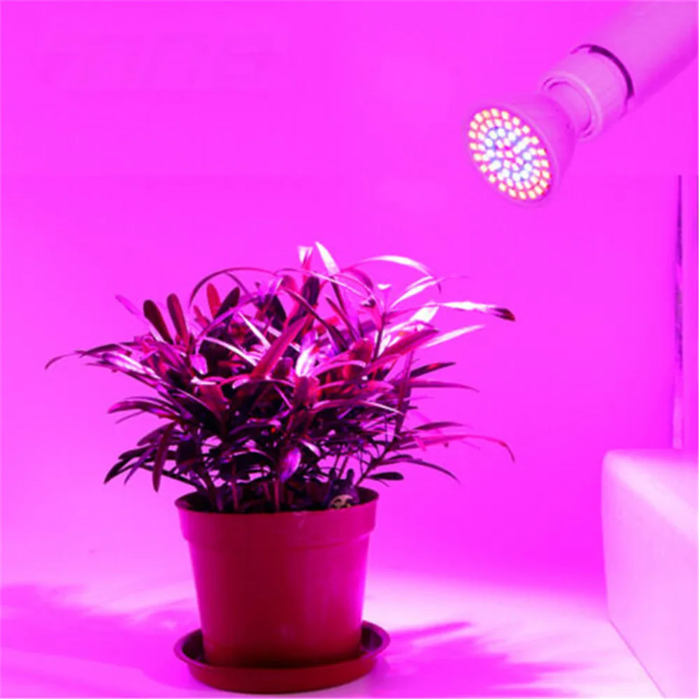 Растений лампа светодиодный Grow светильник полный спектр светодиодный лампы E27 60 Светодиодный s рассада фитолампами фитолампа для растений светильник ing цветок лампы