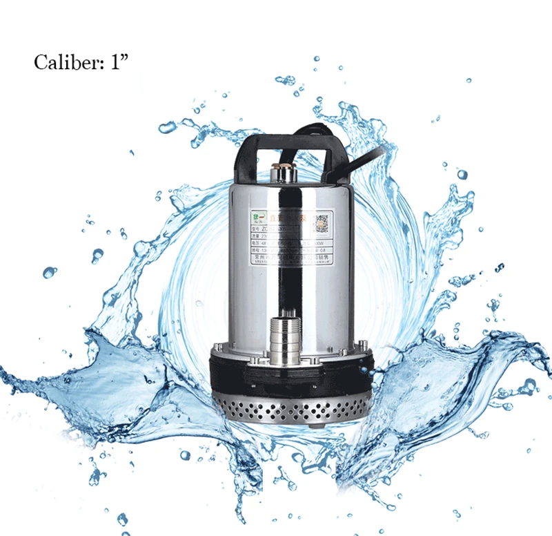 

Small DC 24V Electrical Water Pump Household Water Suction Pump Submersible Stainless Steel Water Pump
