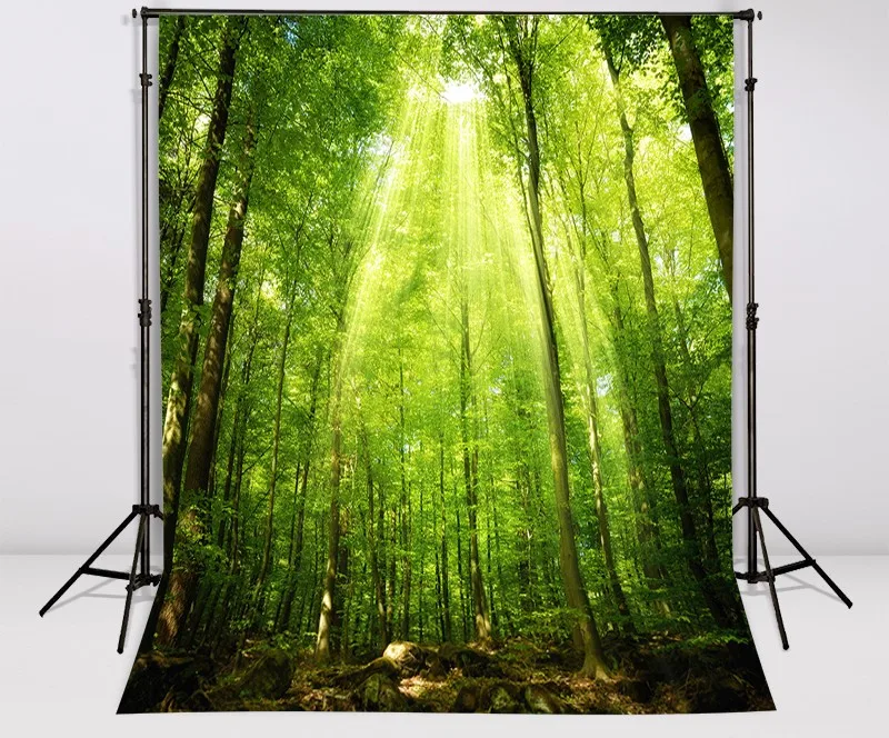 

Green trees landscape Photography Backgrounds Vinyl cloth High quality Computer printed jungle backdrop