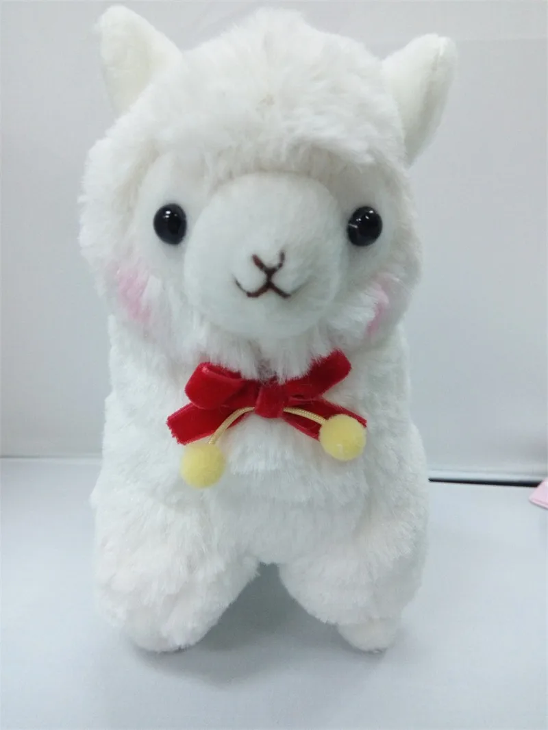 2640913727_1373902412