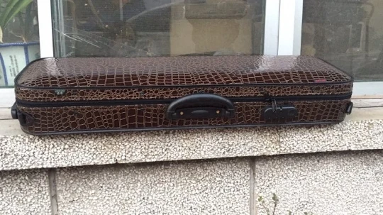 

Wooden Tire Tread Crocodile PU Pleuche In Lining 4/4 Violin Accessories CASE Reversible And Portable