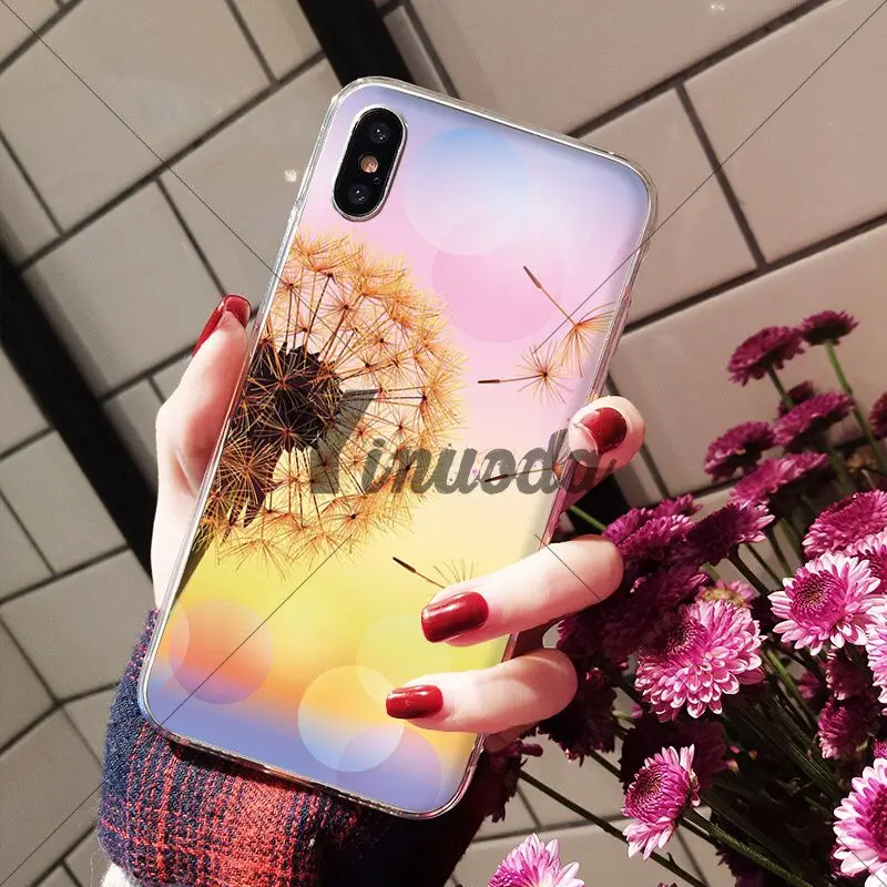 Beautiful plant flower dandelion