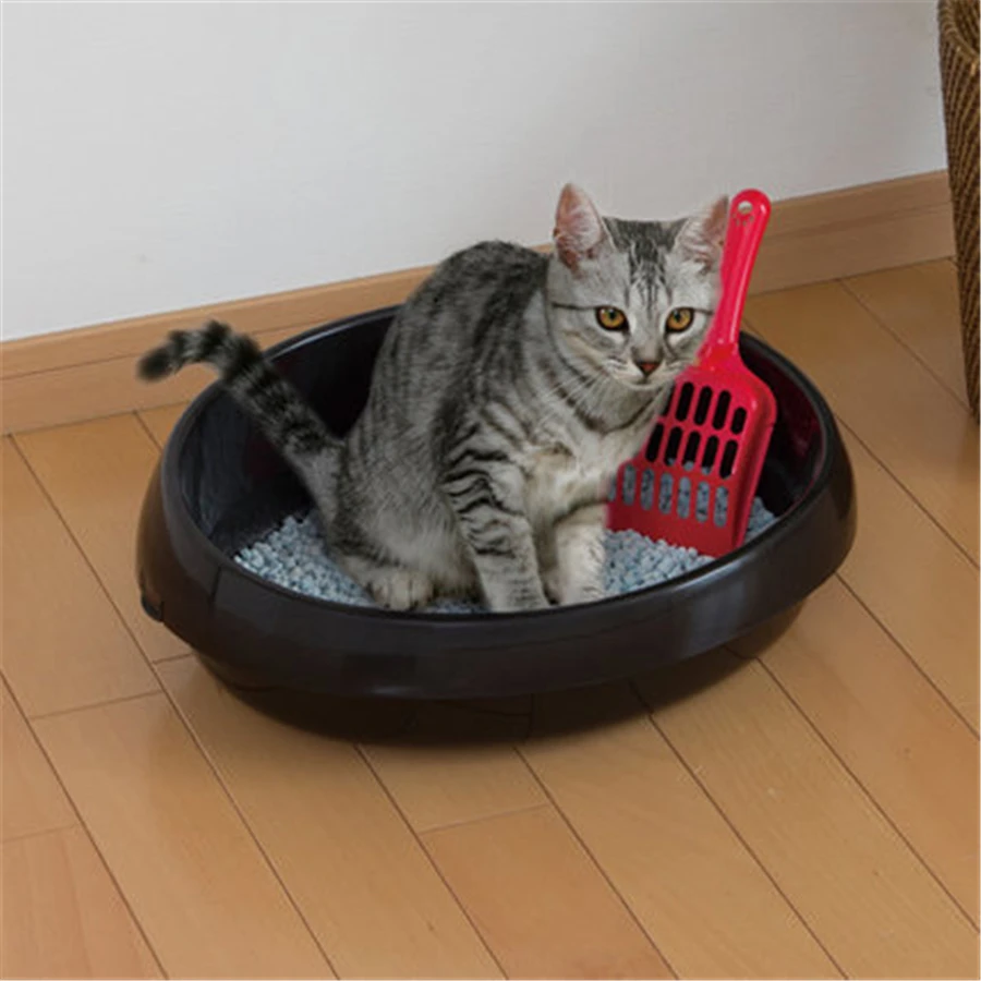 Лоток для котят маленький. Закрытый кошачий туалет. Кошачий лоток iris. Кошачий горшок. Туалет-домик лоток для кошек модерна топ кэт.