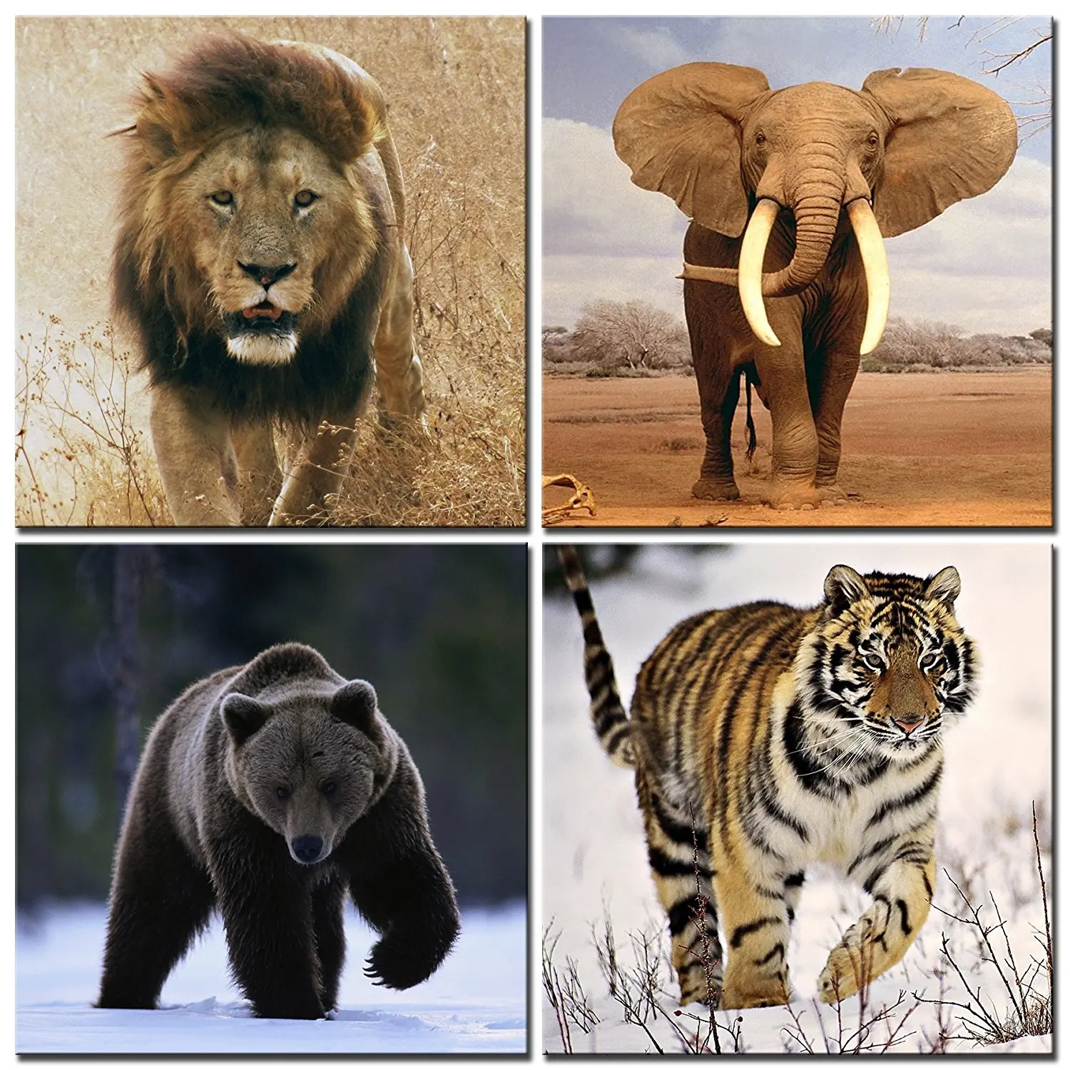 ライオン象虎クマの壁アートの絵画をプリントキャンバス動物写真用ホームインテリアギフトピース Printing Paer Painting Replicasprinting Digital Paintings Aliexpress