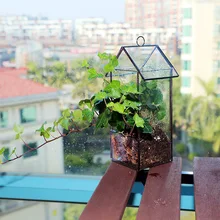 Bonsai Free Shipping 25cm Height Roof Clear Glass Geometric Terrarium Box Tabletop Succulent Fern Moss Plant Micro Landscape