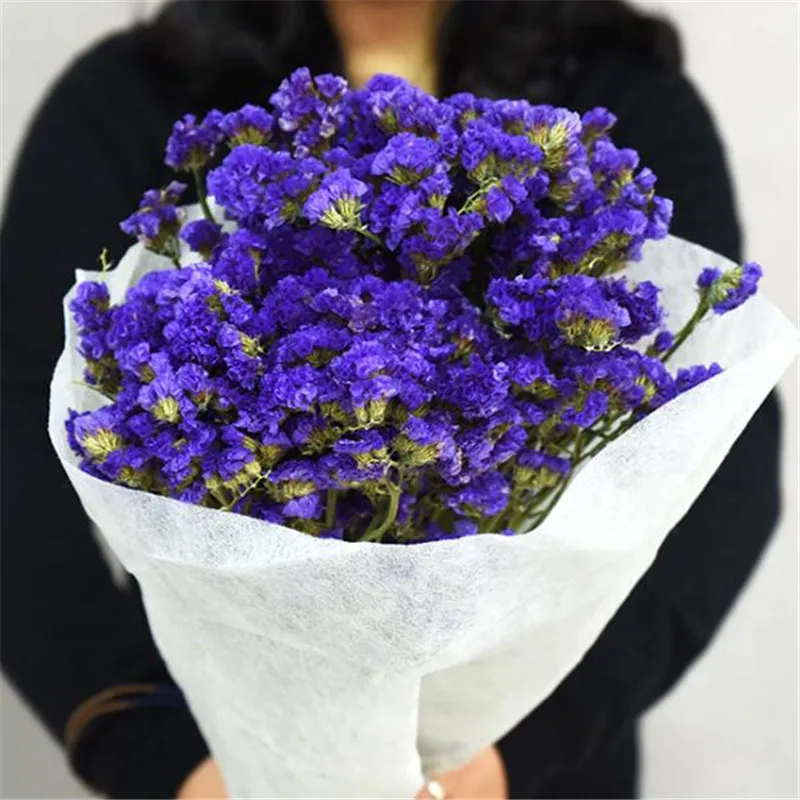 SMT035-DeepPurple