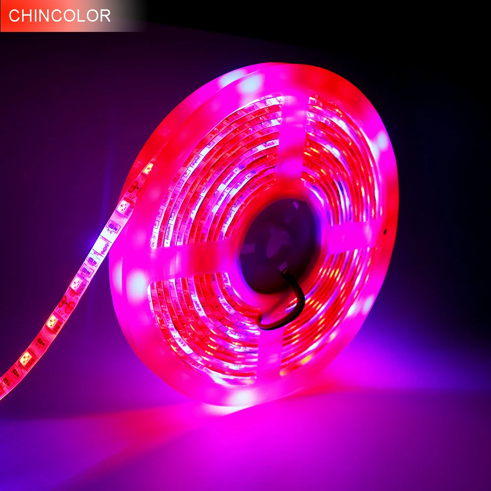 CHINCOLOR LED Plant Grow Lights 5050 DC12V 300leds 31 41 51 Red Blue light for Greenhouse Hydroponic Full Spectrum IP20 DA (11)