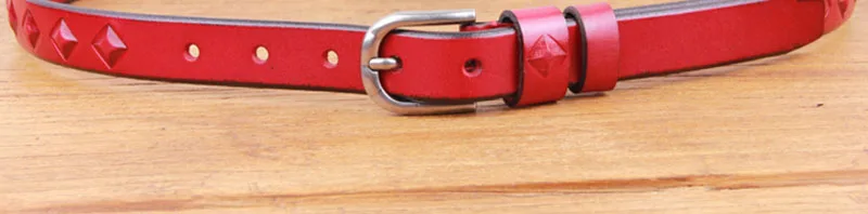 FJ18002 (47)