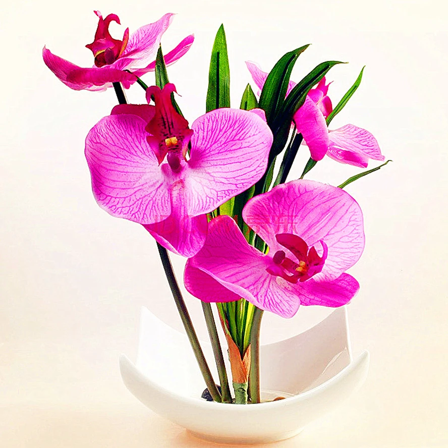 

DIY 5D Full Diamonds Embroidery Round Diamond Painting Orchid floral Cross Stitch Kits Diamond Mosaic Home Decoration ZC329