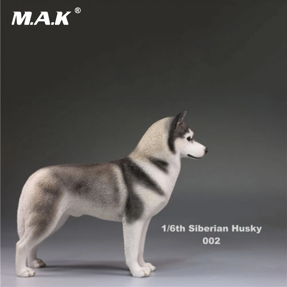 В наличии 1/6 фигурку аксессуар Сибирского Хаски моделирование Животные XVI 002