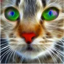 Кошка DIY Алмазная картина Кошка Животное dimaond вышивка полная дрель catdiamond картина мозаика полная круглая дрель кошачья голова