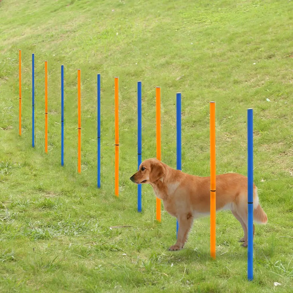 

Pet Outdoor Dog Agility Sports Training Poles Equipment Dogs Activity Agility Weave Slalom 12 Pole Set with Carrying Case