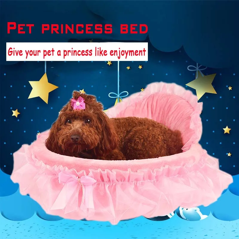 34+ Mini shitzu anjing lucu update 