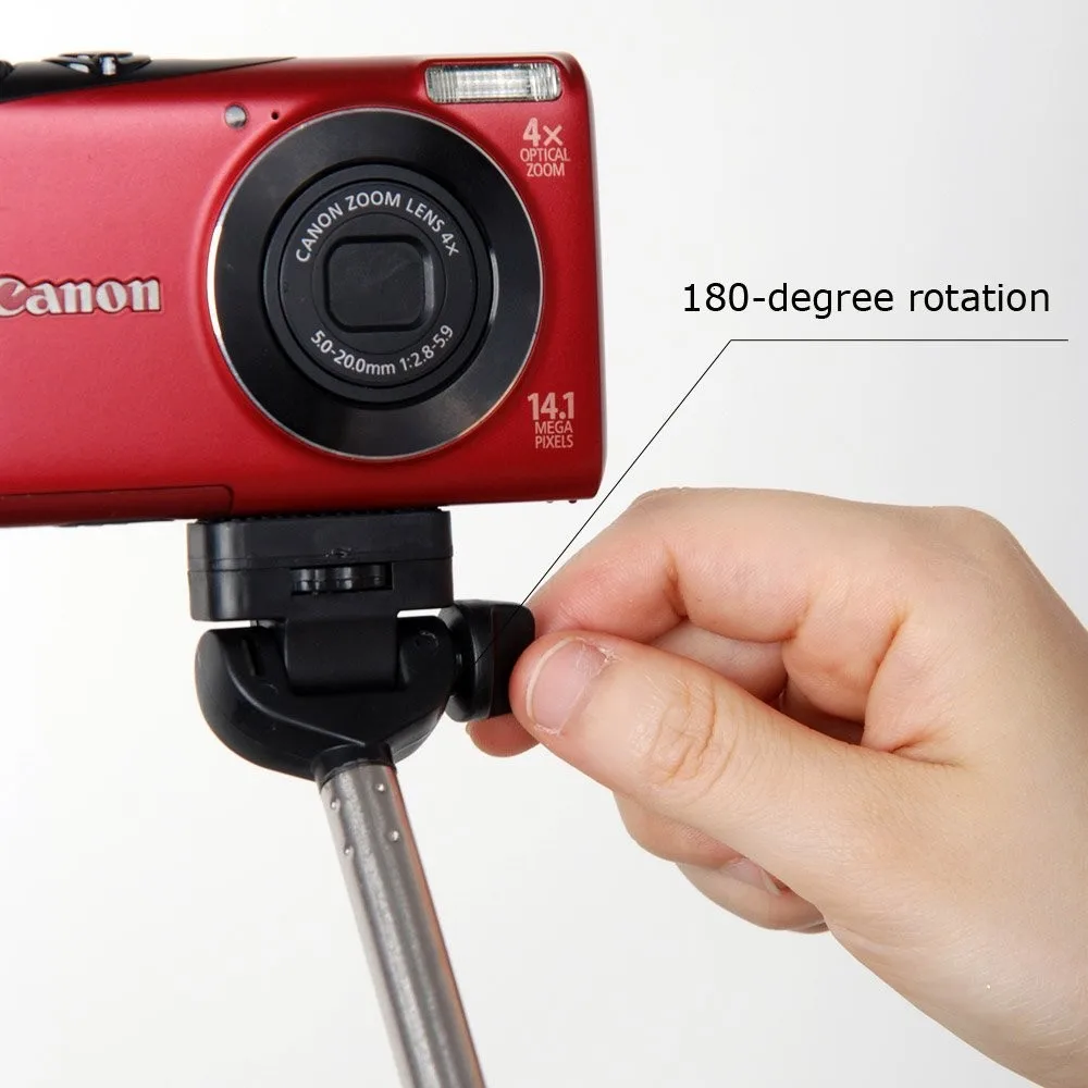 61iobQLgnBL._SL1000_