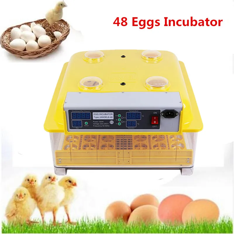 Home use 48 eggs incubator family commercial hatcher egg turner