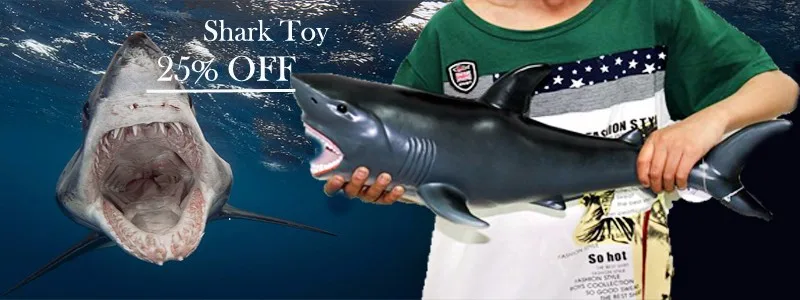 shark