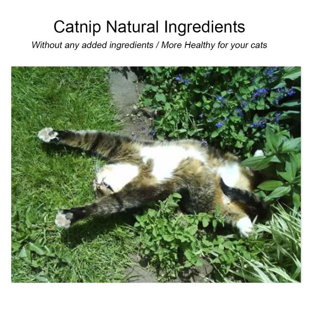 Natural Catnip Toys For Cats