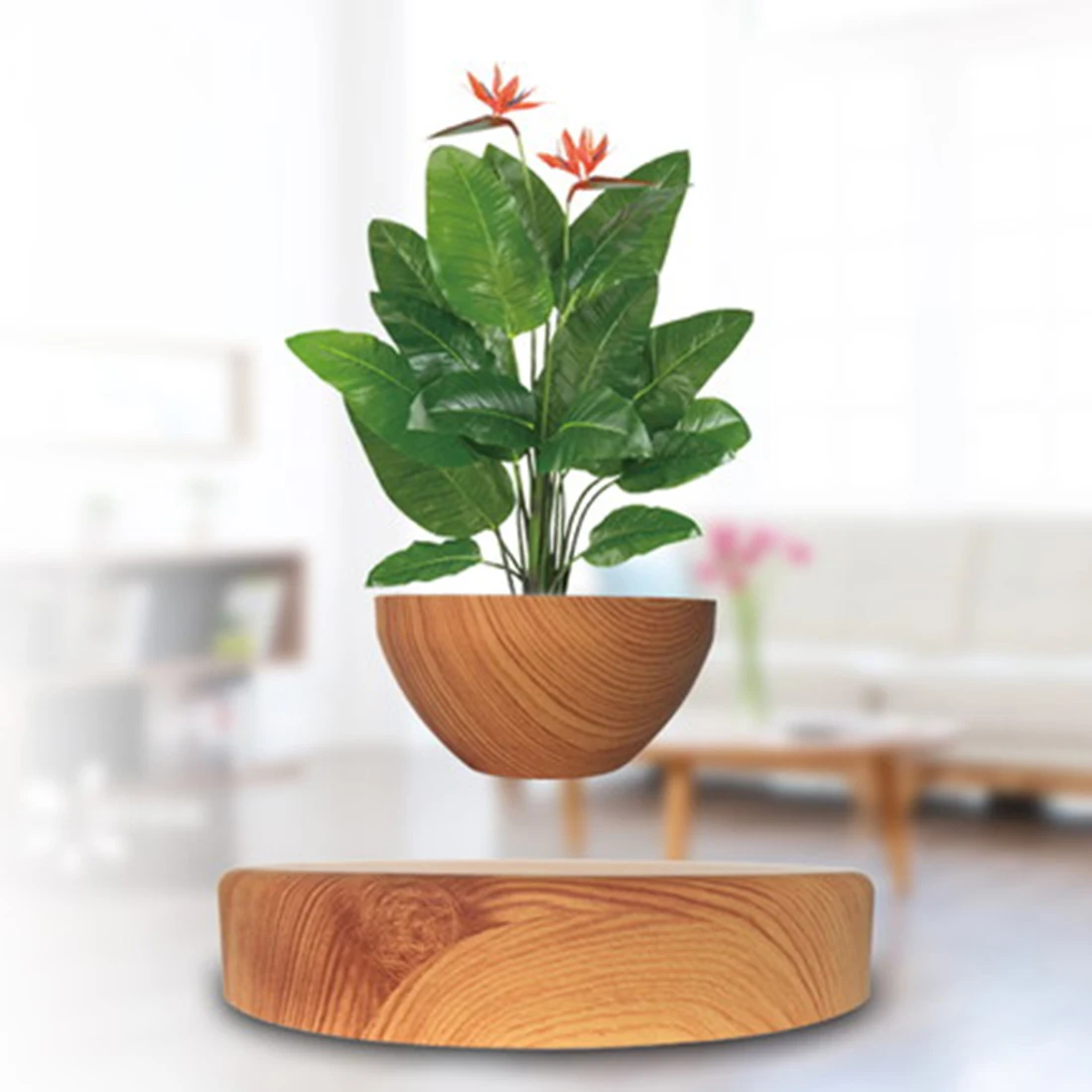 

2018 New Creative Magnetic Levitation Air Bonsai Art Potted Plant Ornaments Suspension Flower Pot Geomancy Ornament with US Plug