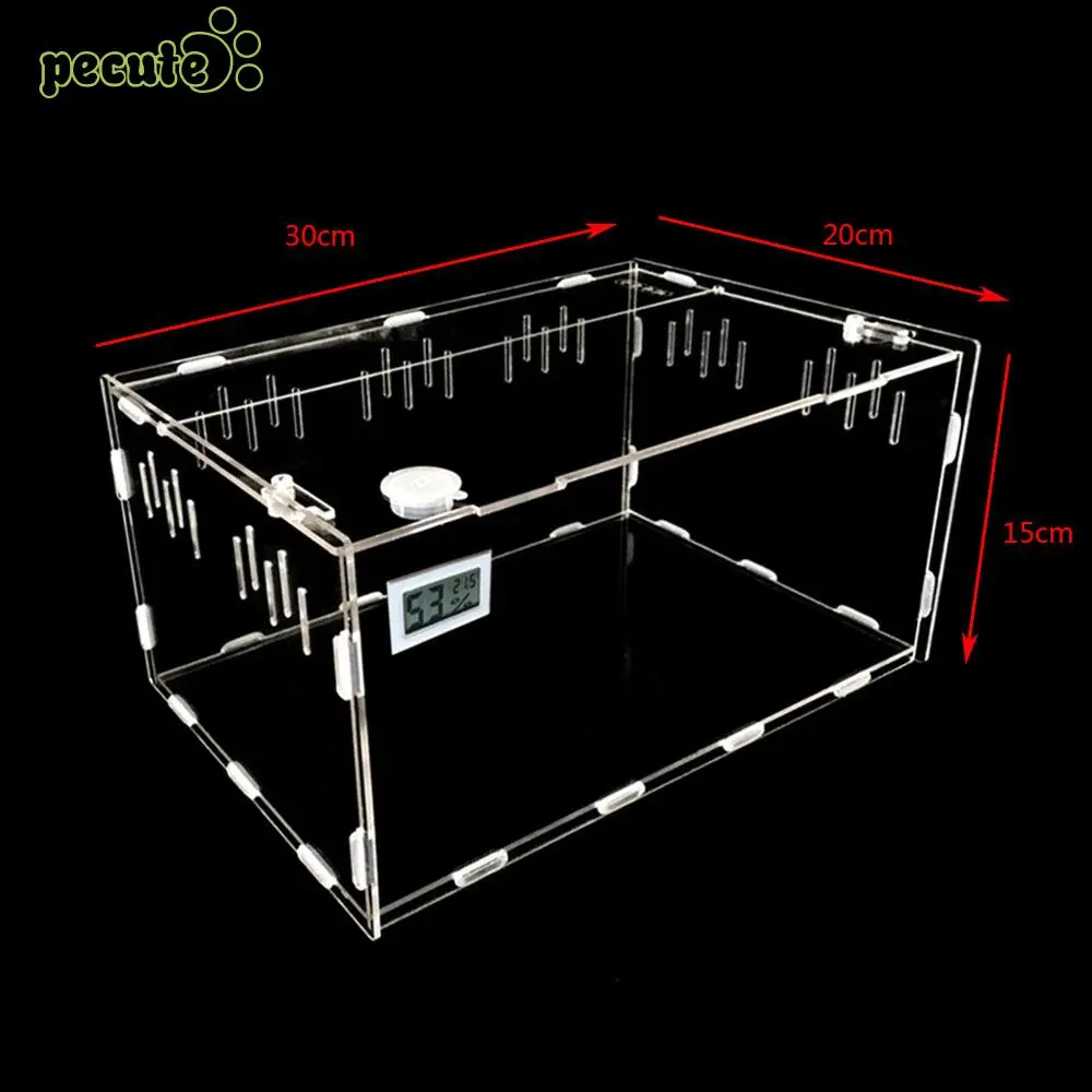 de vida répteis terrário ideal habitat para