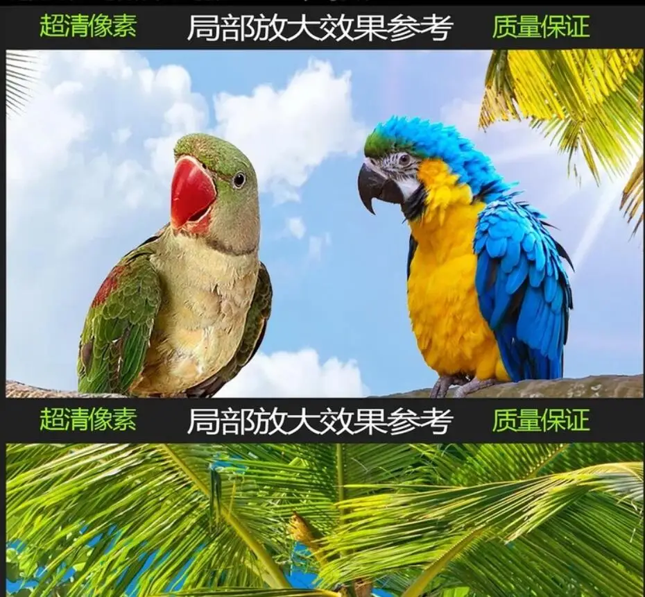QQ20190428221527
