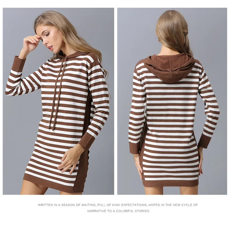Europe and the United States autumn new simple sweater women striped long loose hooded hooded sweater sweater (7)