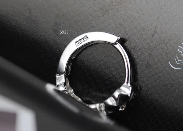 HTB1H9i4XOzxK1RjSspjq6AS.pXa6