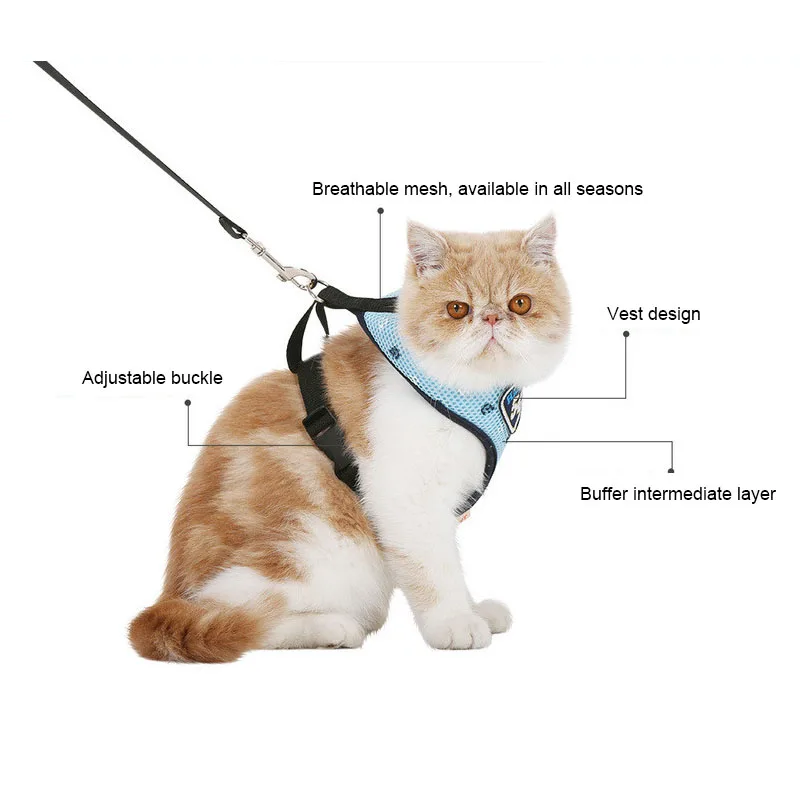 Navy Cat Harness And Leash Set (4)