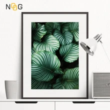 NOOG Nordic Minimalist Canvas Poster Green Tropical plants Palm leaves canvas wall picture Living Room Home Decor No frame NOOG Nordic Minimalist Canvas Poster Green Tropical plants Palm leaves canvas wall picture Living Room Home Decor No frame