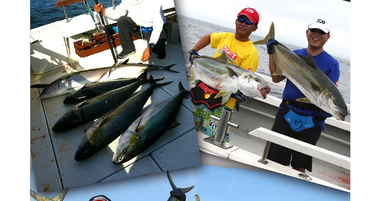 China lure set Suppliers